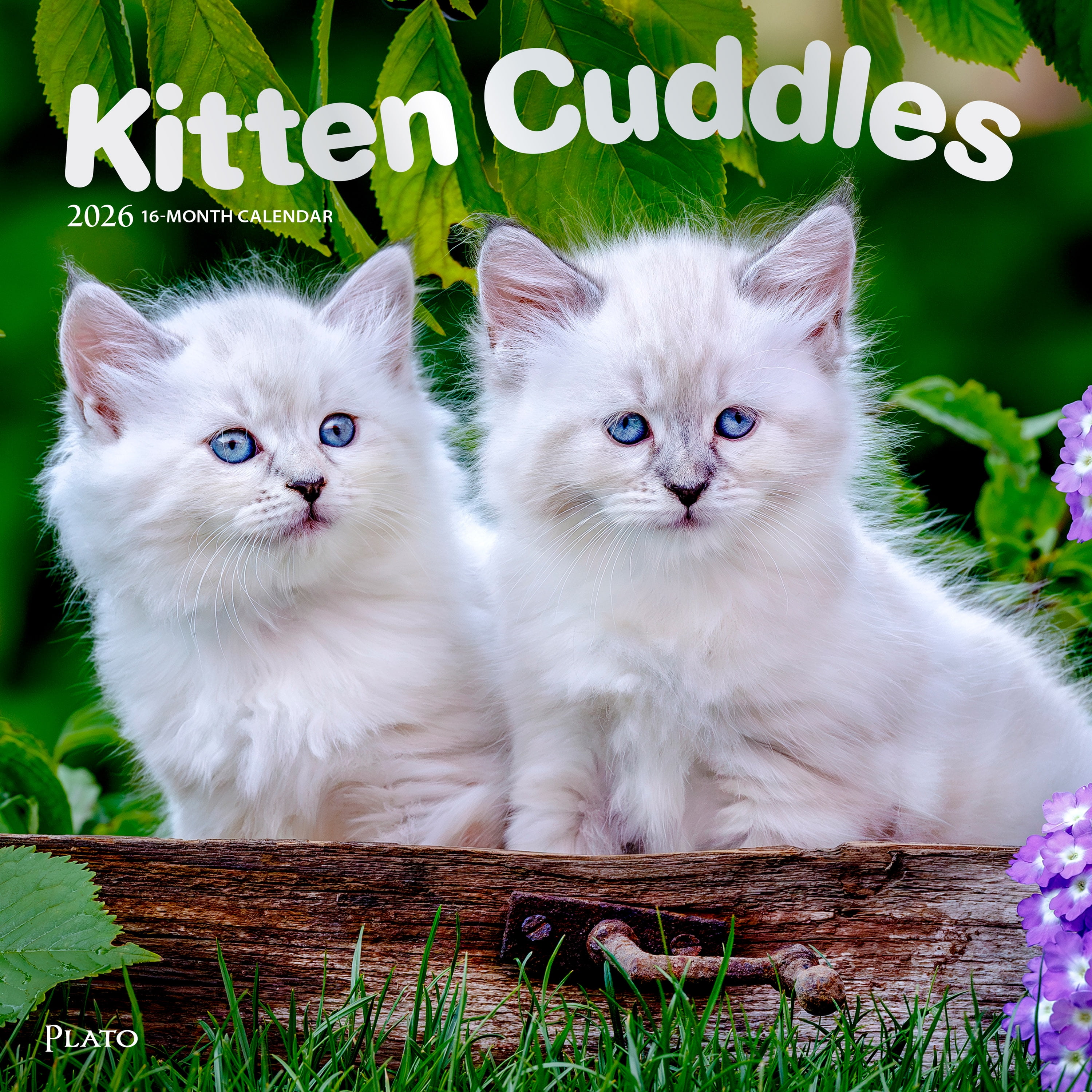Ensemble de calendriers pour chatons 2026