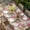 White Red, variant on Blue Pink Spring Floral Table Cloths for 8 Foot Rectangle Tables, Vintage Summer Botanical Patio Waterproof Elastic Fitted Tablecloths, Washable Rectangular Table Cover for Camping