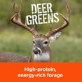 thumbnail image 3 of Pennington Rackmaster Deer Greens Food Plot Seed 5 lb, 3 of 11