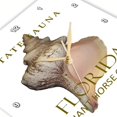 thumbnail image 3 of 3dRose, Florida Territory Giant Horse Conch Design, 10x10 Wall Clock, 3 of 8