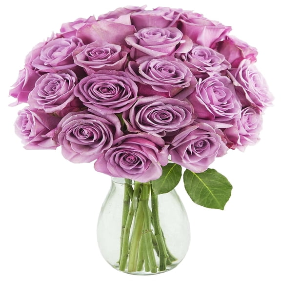 KaBloom : 24 Purple Roses in vase, Next-Day Delivery, Gift for Every Occasion.