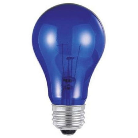 

25 watt Trans Incandescent - Blue