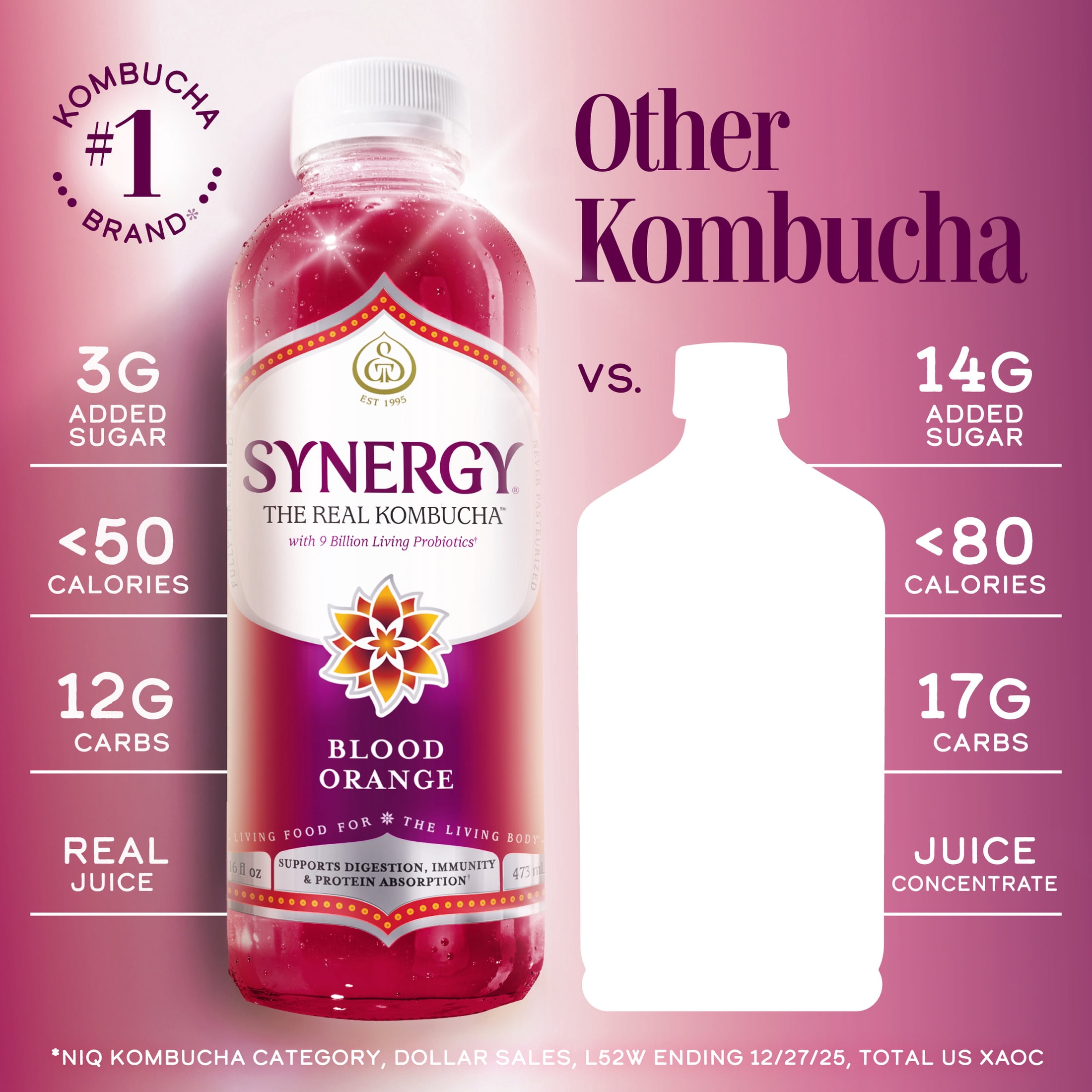 GT's Synergy Raw Blood Orange Kombucha 16 fl oz
