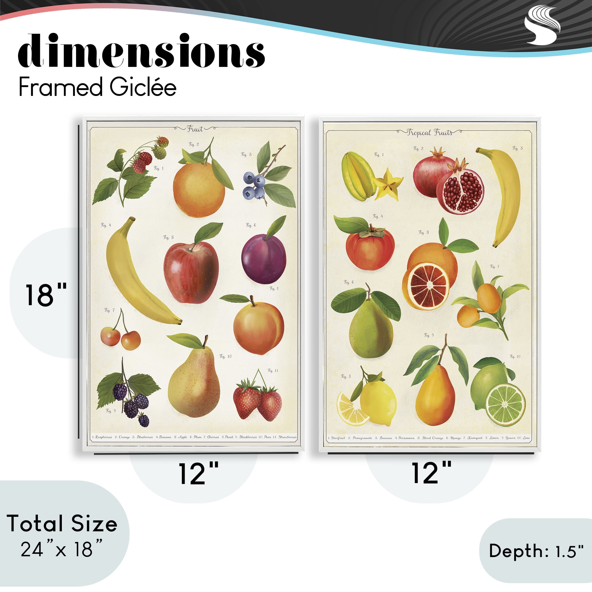 Stupell Industries Kitchen Studies Fruit 2 Piece White Framed Giclee Art Set, design by Diane Neukirch