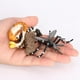 thumbnail image 2 of de de un , de la naturaleza de modelo de Utilería de , simulación de juguete Hugo juego de crecimiento de insectos para niños, 2 of 6