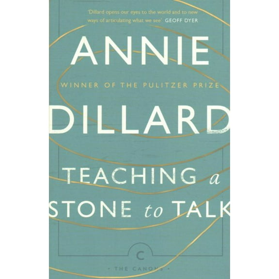 Teaching a Stone to Talk