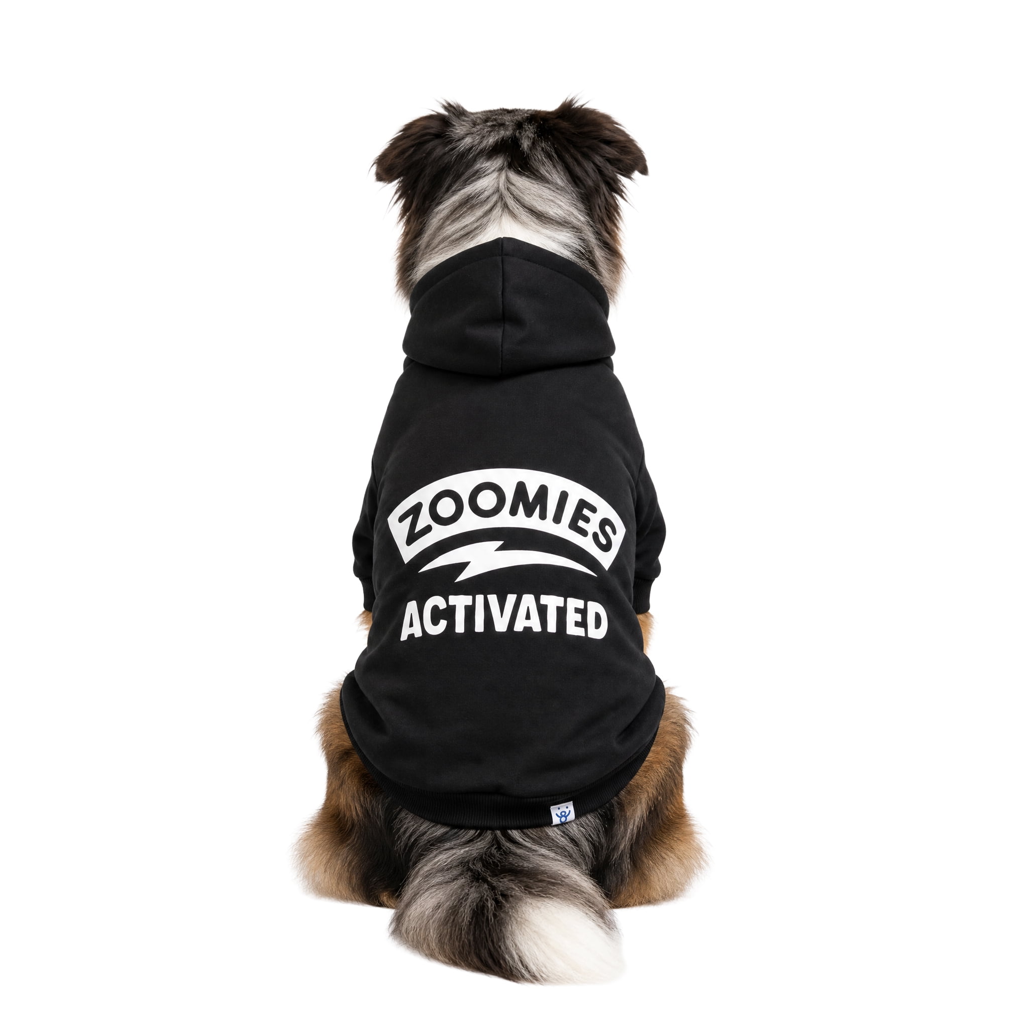Oodles Zoomies Activated Fall Dog Hoodie, Black, Large