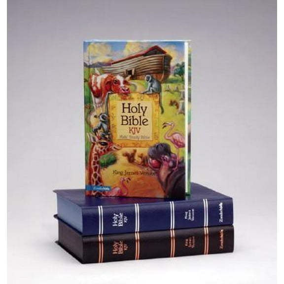 Pre-Owned Holy Bible: King James Version - Kids' Study Bible (Hardcover) 0310919096 9780310919094