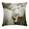thumbnail image 1 of Ambesonne 24" x 24" Multi-color Polyester Decorative Pillow Case, 1 of 2