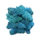 thumbnail image 1 of Planta Artificial Verde Inmortal LADIGASU Flor Falsa Hierba Musgo para El Hogar Sala de Estar Pared Decorativa 1X Bolsa de Musgo, 1 of 2