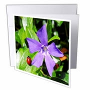 Ladybug On Savinca Purple Flower 12 Greeting Cards with envelopes gc-57607-2