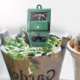 thumbnail image 5 of Kit de prueba de suelo 3 en 1 para humedad, luz y pH, herramientas de jardinería, probador de sensor de humedad del suelo para el cuidado de las plantas, medidor de pH del suelo Adepaton WHFLD339, 5 of 8