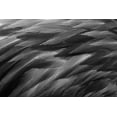 thumbnail image 2 of Jones, Adam 24x17 White Modern Wood Framed Museum Art Print Titled - Black and white of pattern in American flamingo feathers, 2 of 4