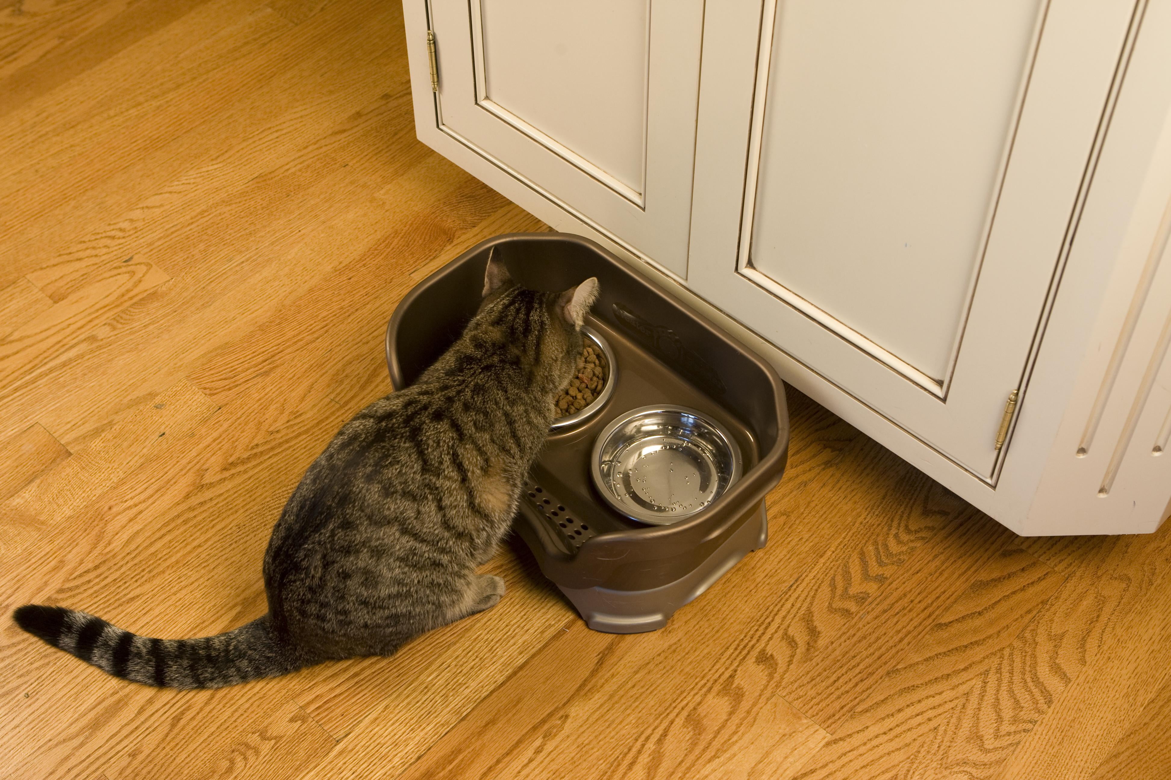 Neater Pets Neater Feeder Deluxe With Leg Extensions Mess-Proof Elevated Food & Water Bowls for Cats, Cranberry