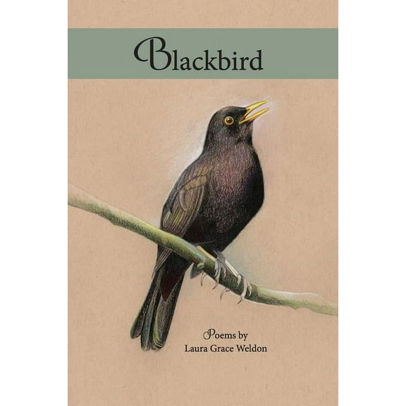 Blackbird: poems (Paperback)