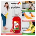 thumbnail image 4 of Limpiador multiusos Aurrera sandia 10 lt, 4 of 4