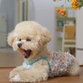 thumbnail image 4 of Vestido de perro para perros pequeños, transpirable, lindo vestido tutú, lindo gato, princesa, ropa de verano, traje de mariposa para taza de té, perro, Yorkie, Chihuahua, Pomerania, 4 of 7