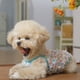 thumbnail image 4 of Vestido de perro para perros pequeños, transpirable, lindo vestido tutú, lindo gato, princesa, ropa de verano, traje de mariposa para taza de té, perro, Yorkie, Chihuahua, Pomerania, 4 of 7