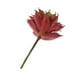 thumbnail image 1 of Artificial Suculenta Flor Plástica Flor Mini Lotus Decoración de Jardín Casa Zulema Las plantas suculentas artificiales, 1 of 5