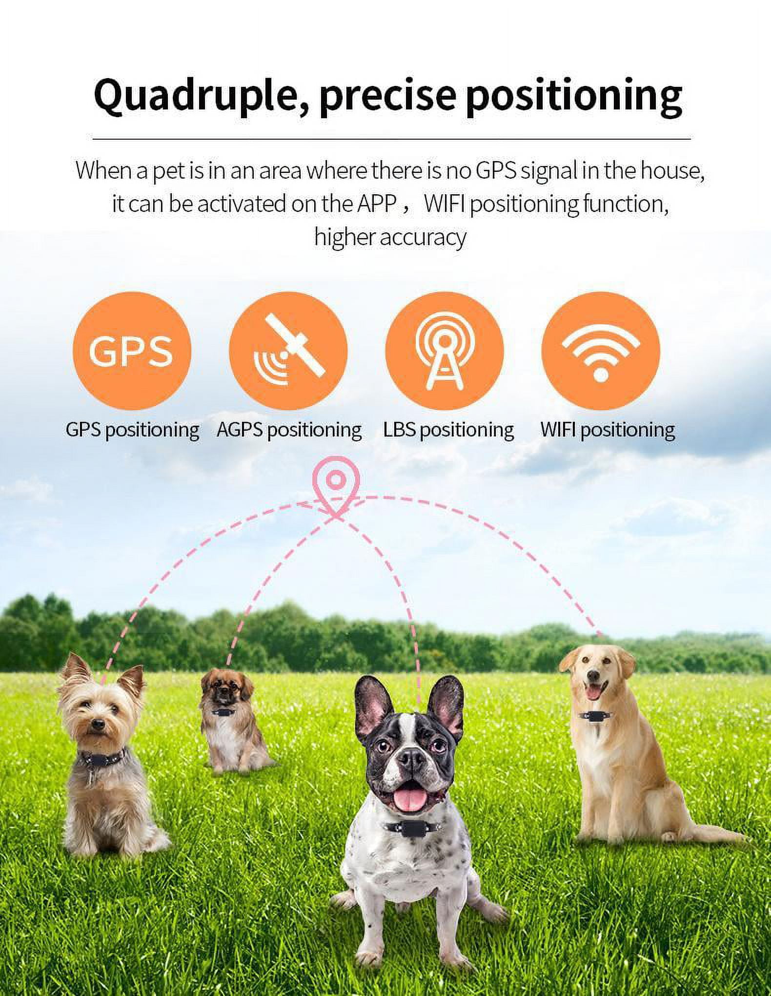 DEFNES Dog Tracker,2 in 1 Smart Dog Collar,Dog Tracker Collar with Gps,Eal-Time Location/No Monthly Fee GPS Tracker Dog Collar,Compatible with Apple Find My App, iOS