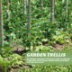 thumbnail image 4 of Red para plantas trepadoras, red para enrejado de jardín, red para trepar verduras, red para enredadera, red para jardín enrejado, 4 of 7