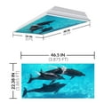 thumbnail image 2 of Octo Lights - Fluorescent Light Covers - 2x4 Flexible Ceiling Light Filters - For Classrooms and Offices - Ocean 003, 2 of 7