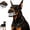 Type-A (without blood), variant on Halloween Monster Dog Muzzle with Teeth, Scary Muzzle for Dogs with Adjustable Straps, Dog Muzzle for Small Medium Large Dogs, Cosplay Party Costume