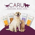 thumbnail image 6 of CARU Daily Dish Smoothie Lickable Treat for Dogs - Peanut Butter, 2 oz, 4 count, 6 of 6
