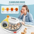 thumbnail image 3 of Adnoom 24 Egg Incubator for hatching chicks, Incubator with Temperature Control Humidity Display, Automatic Egg Turning,4 Modes, Digital Egg Incubator w/Egg Candler for Hatching Chicken Duck Quail, 3 of 9