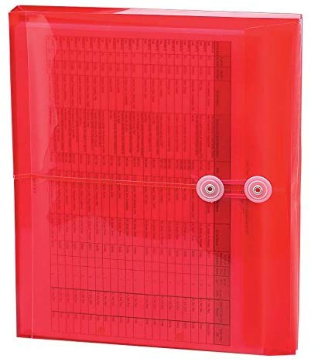 Poly Envelope, 11/4" Expansion, StringTie Closure, Side Load, Letter