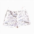 thumbnail image 4 of WXFAZCVU Girls Sequins Shorts Trendy Summer Clothes Hot Pants for Party Dance Daily Wear Size 5-7 Years, 4 of 4