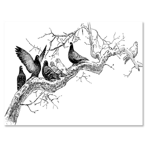 Pigeons Sitting On The Tree Branch 8 in x 12 in Painting Canvas Art Print, by Designart