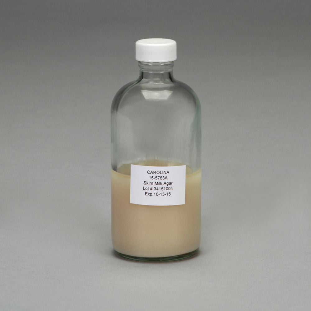 Skim Milk Agar, Prepared Media Bottle, 125 mL