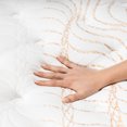 thumbnail image 5 of Sealy 15" Posturepedic Plus Optimum Grand Melody Mattress, 5 of 5