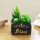 thumbnail image 3 of Simulación de flores falsas, bonsái suculento a la moda, pequeños adornos creativos, flores artificiales de simulación, plantas verdes en macetas, 3 of 6