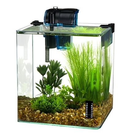 - Penn Plax Radius 3.4-Gallon Curved Corner Glass Aquarium Kit