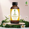 thumbnail image 4 of SVA Chamomile Essential Oil – 1 Fl Oz – 100% Natural Chamomile Oil - for Diffuser, Hair Care, Face, Skin Care, Aromatherapy, Scalp and Body Massage, Soap and Candle Making – with Dropper, 4 of 5