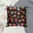 thumbnail image 2 of COMIO  Decorative Square Throw Pillow Covers Colorful Cartoon Owl Pattern Couch Sofa Bed Pillow Covers Cushion Cases, 2 of 5