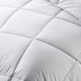 thumbnail image 2 of Eco Life  Natural Cotton Soft BioFill Comforter King, 2 of 4