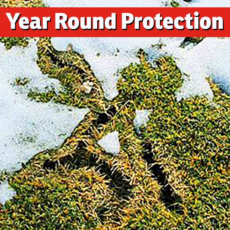 I Must Garden Mole & Vole Repellent - 32oz Hose End Concentrate
