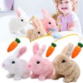 thumbnail image 5 of Easter Plush Stuffed Bunny Toy, 5 of 5