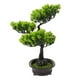 thumbnail image 4 of Árbol bonsái artificial, planta falsa, decoración, árbol en maceta, pino artificial de bienvenida, planta en maceta, 4 of 8