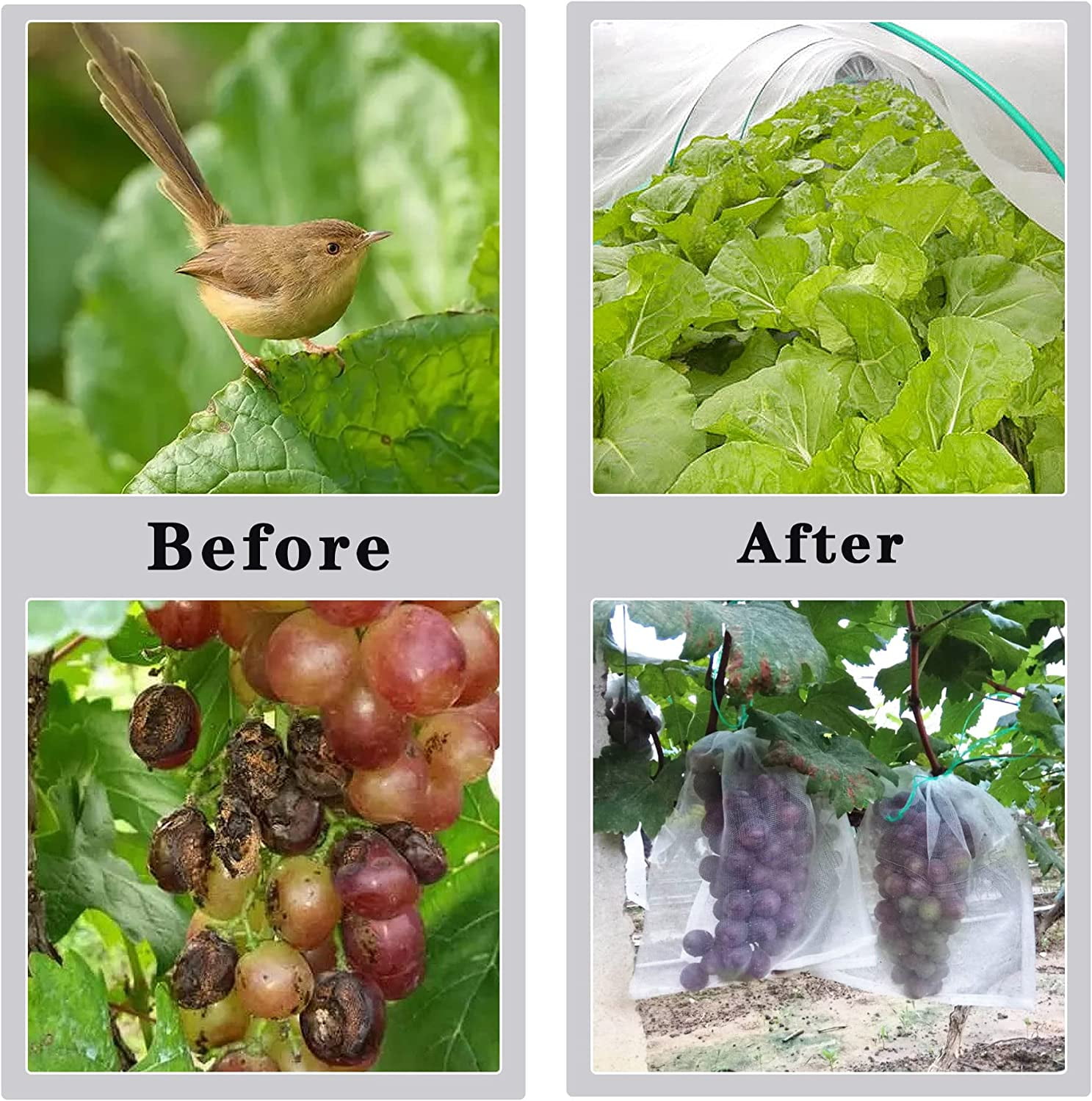 Waltyotur elfinrm Garden Insect Netting, 10ft x 30ft Fine Mesh Netting Bird Pest Bug Barrier White Netting Plant Cover for Protect Plants Fruits Vegetables Flowers Crops Greenhouse Row Cover