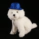 thumbnail image 5 of Sombrero para perro Accesorios ajustables para perros y gatos Sombrero de cumpleaños para perros Sailing Electrónica, 5 of 5
