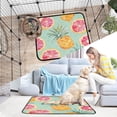 thumbnail image 7 of Qxltty Pineapple Blood Orange Cat litter Pads Pet Set of 2 Diaper Mats Center Anti-leakage Layer Absorbent Soft and Comfortable, 7 of 7