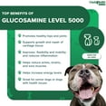 LIQUIDHEALTH K9 Liquid Glucosamine for Dogs Level 5000 with Glucosamine