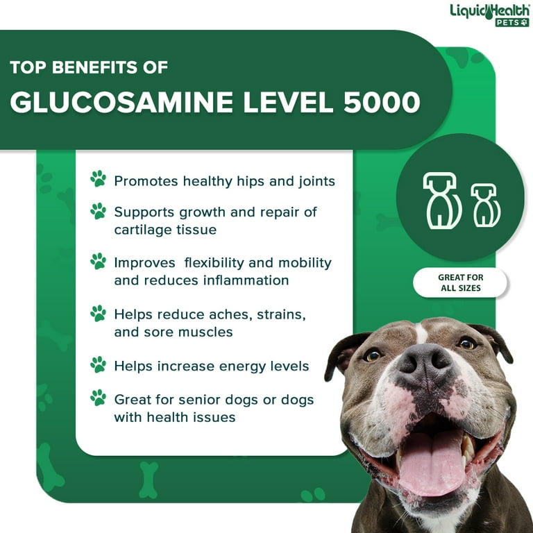 Glucosamine 5000 hotsell for dogs