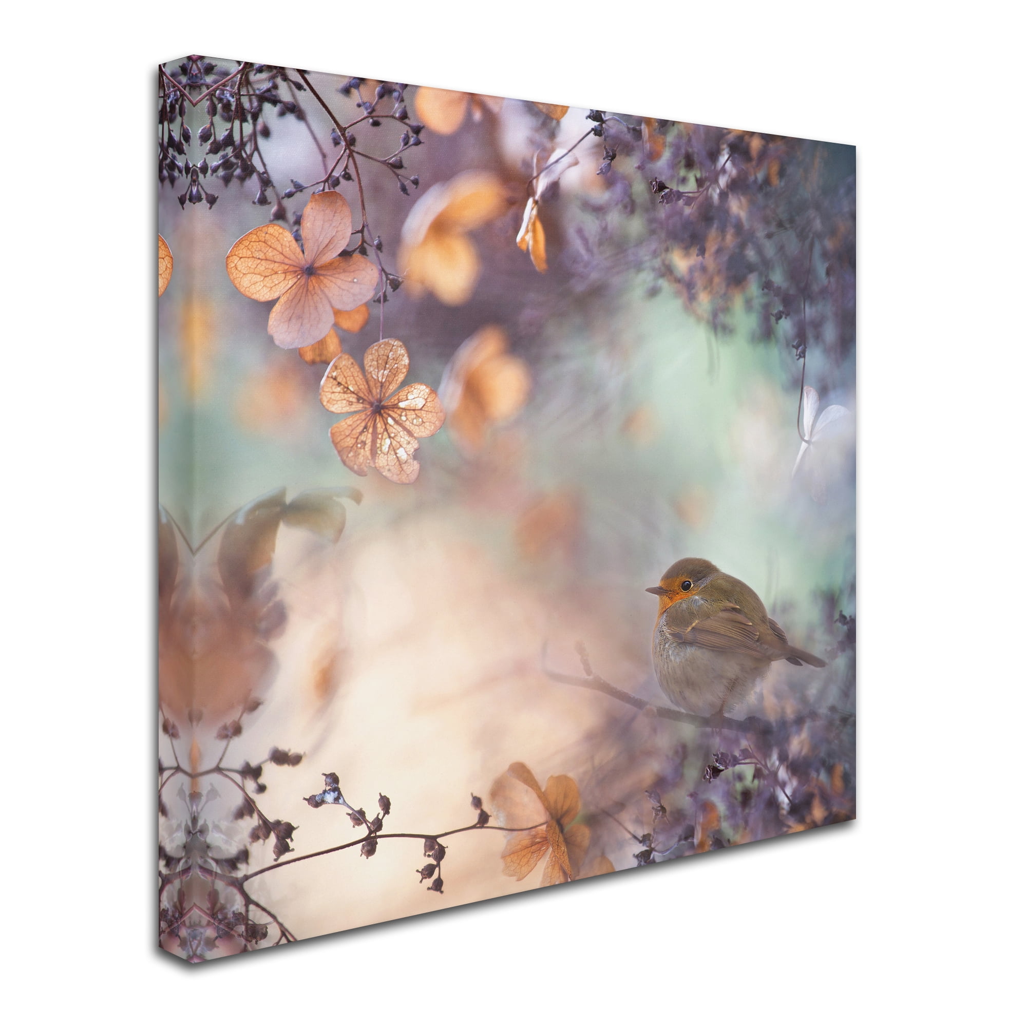 Trademark Fine Art 'Hydrangea Fantasy' Canvas Art by Teuni