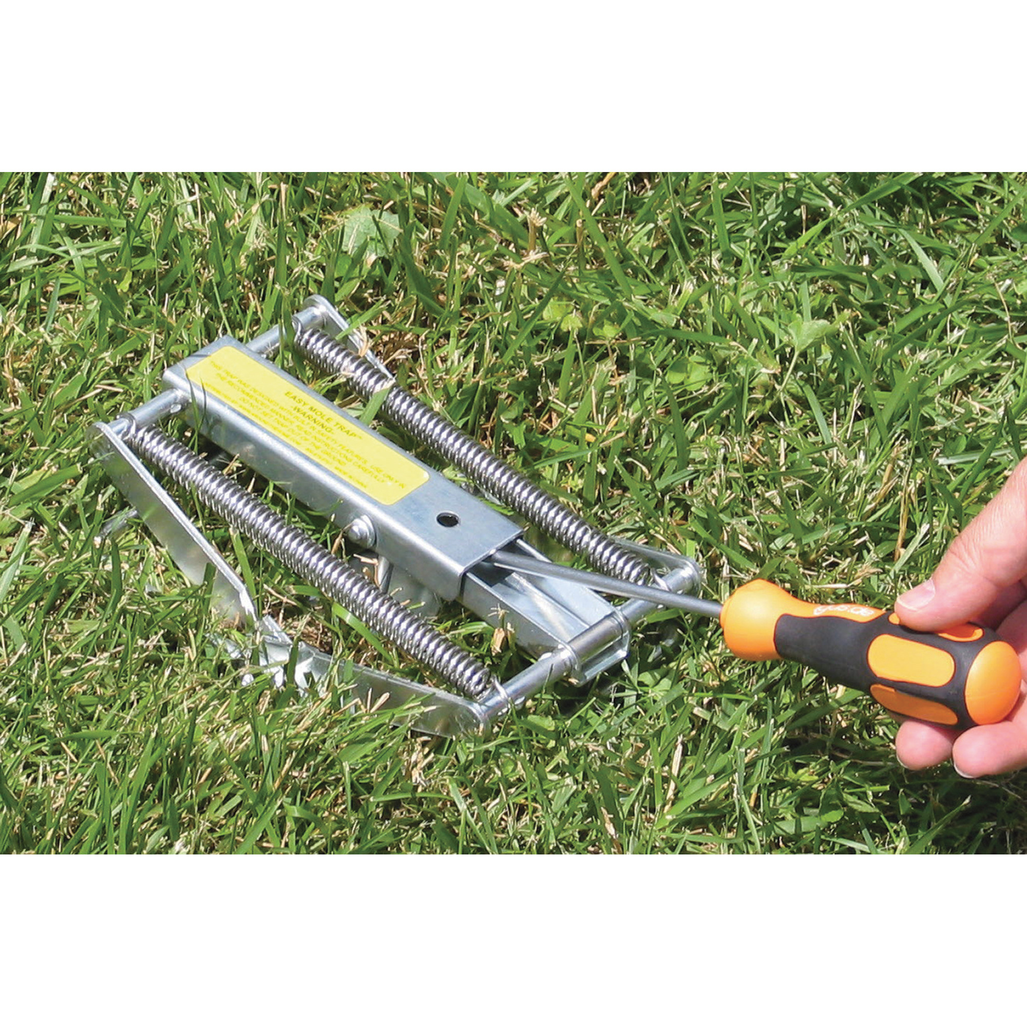 Best Mole Trap to Buy - Compare Top 3 