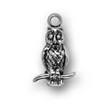 thumbnail image 1 of Sterling Silver 24" .8mm Box Chain 3D Owl Pendant Necklace, 1 of 2